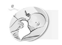 Imagem Complementar da Bula do salsep - 50ml spray