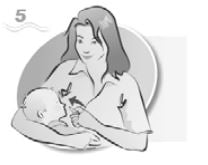 Imagem Complementar da Bula do salsep - 360 spray 50ml
