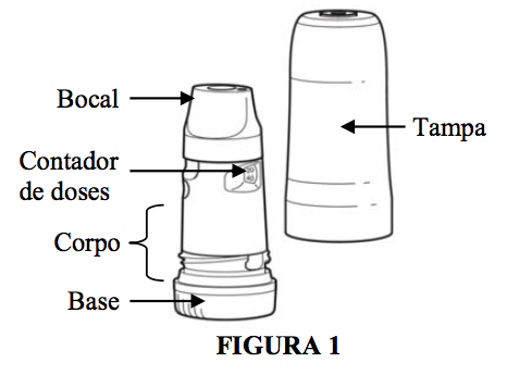 Imagem Complementar da Bula do Symbicort - Turbo 6/100mcg 60doses