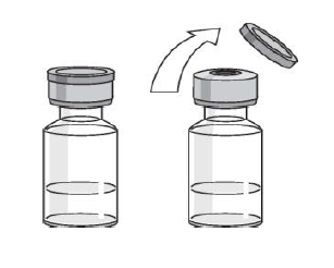 Imagem Complementar da Bula do Stelara - 90 mg solução injetável 1 seringa preenchida dispositivo segurança 1 ml