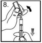 Imagem Complementar da Bula do bicarbonato de sódio adv sachê 2,5 g com 10 unidades