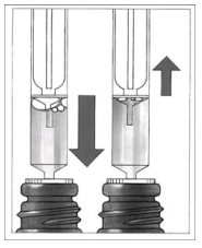 Imagem Complementar da Bula do Exelon - Solução Oral 50Ml