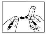 Imagem Complementar da Bula do Flixotide - 250mcg spray 60doses