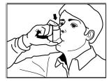 Imagem Complementar da Bula do Flixotide - 250mcg spray 60doses
