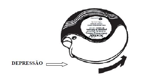 Imagem Complementar da Bula do Seretide - 50/100mcg diskus 60doses
