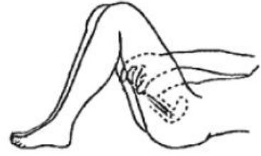 Imagem Complementar da Bula do Coltrineo Creme Vaginal 10mg 30g