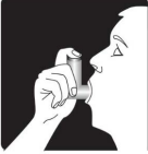 Imagem Complementar da Bula do alvesco - 80mcg 120doses