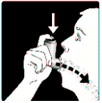 Imagem Complementar da Bula do alvesco - 80mcg 120doses