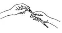 Imagem Complementar da Bula do Fentizol - Spray 20mg 30ml