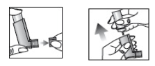 Imagem Complementar da Bula do Clenil - Compositium hfa spray 200doses