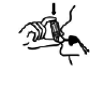 Imagem Complementar da Bula do Clenil hfa 200 mcg spray 200 doses