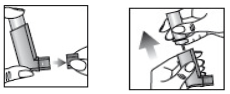 Imagem Complementar da Bula do Clenil - Hfa 250mcg spray 200 doses