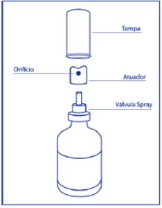 Imagem Complementar da Bula do neopiridin - 12 pastilhas
