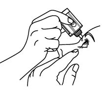 Imagem Complementar da Bula do timoptol - xe 0,5% 5ml