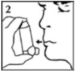 Imagem Complementar da Bula do aerogold - 100 mcg spray 200 doses
