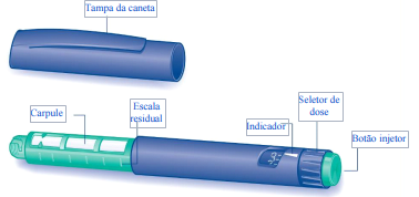 Imagem Complementar da Bula do Insulina - Levemir penfill 3ml
