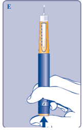 Imagem Complementar da Bula do Norditropin Nordiflex 5 Mg 1,5 Ml