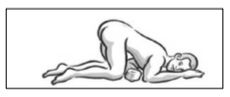 Imagem Complementar da Bula do Enema com 130 ml
