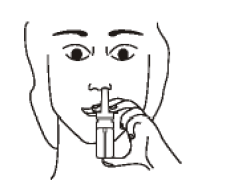 Imagem Complementar da Bula do Acetato - De desmopressina 0,1mg ml spray nasal 2,5ml bergamo genérico