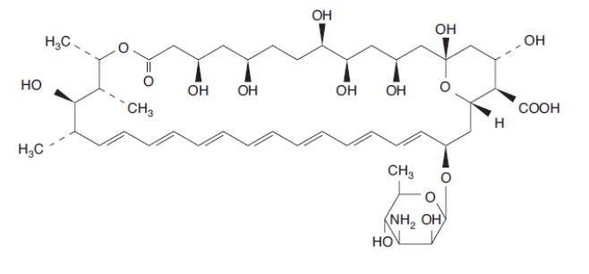 Imagem Complementar da Bula do agua - para injecao 10ml samtec