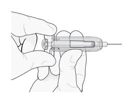 Imagem Complementar da Bula do Prolia 60mg/ml solução injetável 1 seringa 1ml