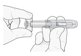 Imagem Complementar da Bula do Prolia 60mg/ml solução injetável 1 seringa 1ml