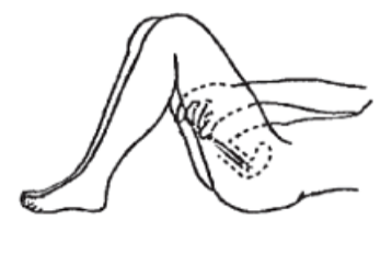 Imagem Complementar da Bula do Colpotrofine - Cápsulas vaginais 10mg c 20 cápsulas