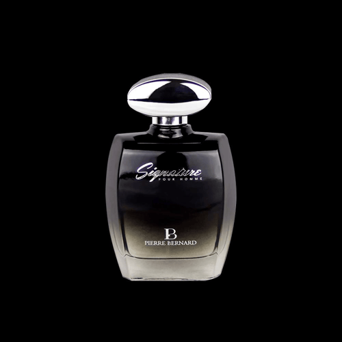 Imagem do produto Pierre Bernard Signature Pour Homme Eau De Parfum Perfume Masculino 100Ml