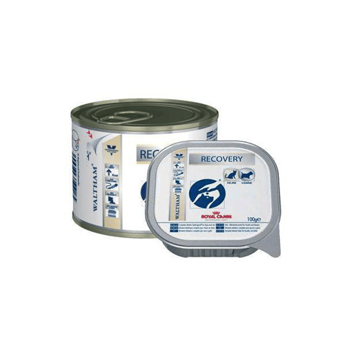 Imagem do produto Ração Royal Canin Veterinary Diet Wet Recovery 195G