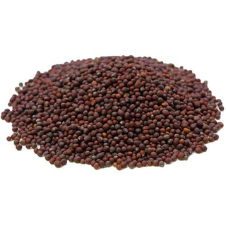 Imagem do produto Semente De Mostarda Preta Para Acupuntura Auricular 100G