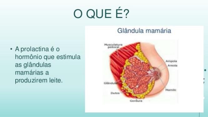 Cabergolina para o aumento da prolactina